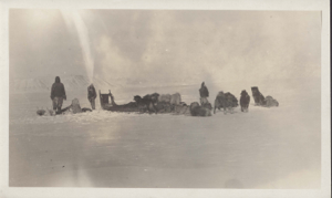Image of Inuit men with team; walrus heads near