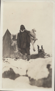 Image: Man by tupik with reindeer (?) on his back. Note mittens on upstanders