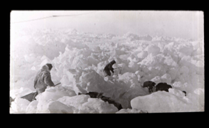 Image of Working the team over rough ice