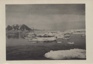 Image of Mountains and ice floes