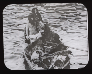 Image: Two Inuit and many dogs in dory