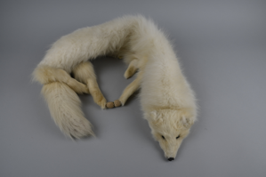 Image: Arctic Fox Stole