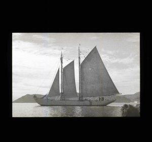 Image: The BOWDOIN under sail  [b&w]