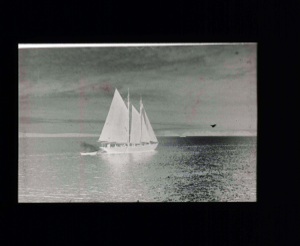 Image of The BOWDOIN under sail  [b&w]