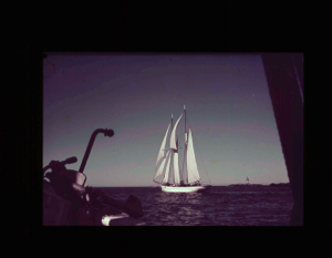 Image: A schooner under sail, from the BOWDOIN  [purple]