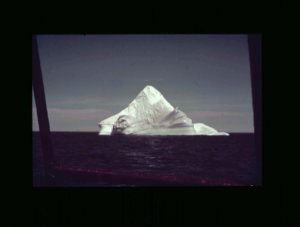 Image of Iceberg  [purple]