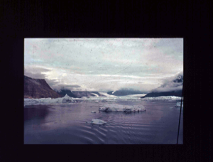 Image of Glaciers and ice floes