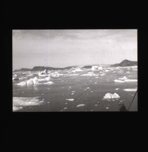Image: Icebergs and floes   [b&w]