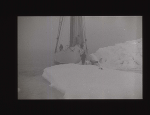 Image of The BOWDOIN against ice pan; crew gettiing water  [b&w]
