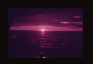 Image of Sunset  [purple]