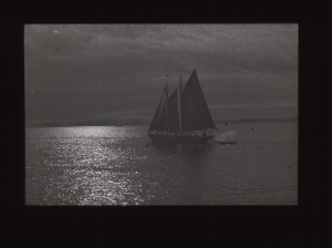 Image of The BOWDOIN under sail  [b&w]