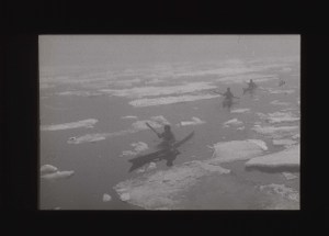 Image: Three kayakers among ice floes  [b&w]