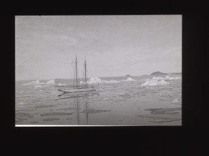 Image of The BOWDOIN moored among ice floes  [b&w]