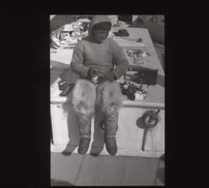 Image of Inuit boy eating Little Auks, aboard  [b&w]
