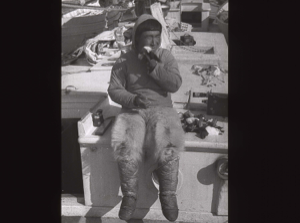 Image of Inuit boy eating Little Auks, aboard [b&w]