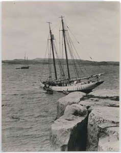 Image of The BOWDOIN anchored near rocks