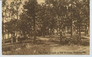 Image: The picnic grounds on Mills Mountain