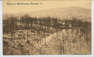 Image: Winter on Mill Mountain