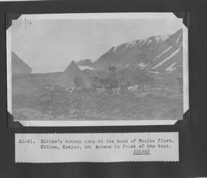 Image of Ekblaw's botany camp at the head of Foulke fjord