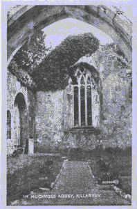 Image of Muckross Abbey [garden]