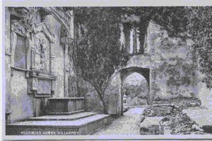 Image: Muckross Abbey [archway to inner court]