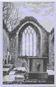 Image: The Choir, Muckross Abbey
