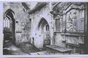 Image: The nave, Muckross Abbey