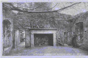 Image: Fireplace in refectory, Muckross Abbey