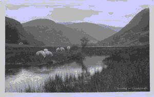 Image: Evening [sheep grazing by a stream]