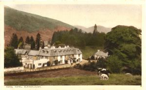 Image: Royal Hotel. Cows and sheep grazing in foreground