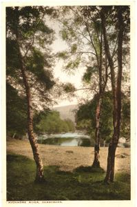 Image: Avonmore River seen through trees