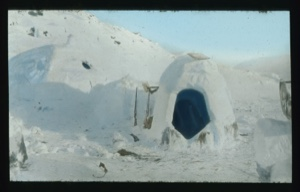 Image of Snow igloo with cloth cover over entrance. Two rifles beside it