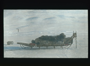 Image of Man covered by furs asleep on sledge