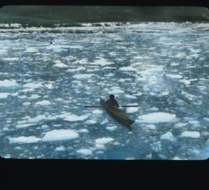 Image of Kayaker among many small ice floes