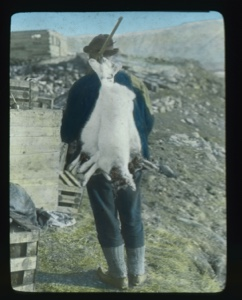 Image: Man carrying arctic hare slung over his rifle 