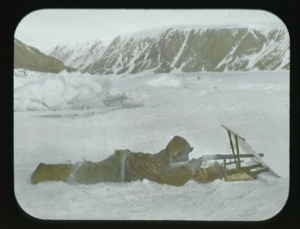 Image of Ah-now-ka (Aunakaq) on his stomach ready to shoot with rifle behind sealing screen