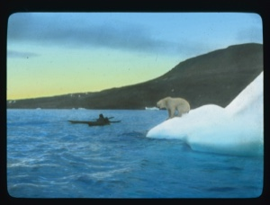 Image of Polar bear standing on iceberg watching kayaker