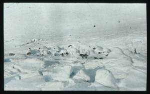 Image: Many snow igloos. Dogs and children scattered about