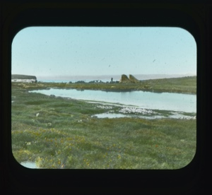 Image of Pond, toopiks with patches of cottongrass in foreground (eriophorum scheuchzevi)