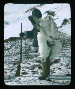 Image: Ah-na-we with rifle and several dead Arctic hare