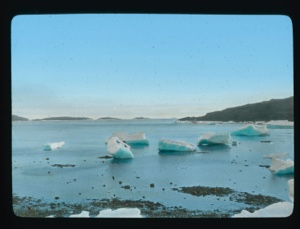 Image: Iceberg remains