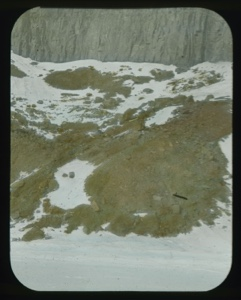Image: Glacier and bank, detail