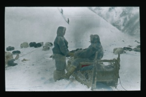 Image of Man on sledge having his foot warmed by another. Dogs resting near [Minik warming Ekblaw's foot]
