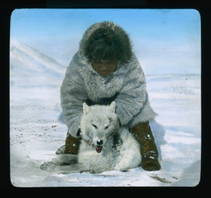 Image of Inuit man standing over dead wolf, holding up head