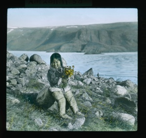 Image of Shoo-e-ging-wah [Suakannguaq Qaerngaaq] sitting on rocks, holding wildflowers