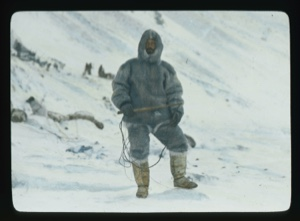 Image: Team member in furs, standing on snow with dog whip. Teams beyond