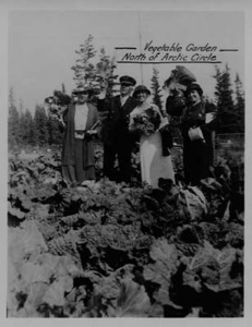Image of [Three women being shown a] vegetable garden north of the Arctic Circle. Yukon River Circle Tour