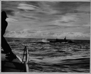 Image of Chaser boat bombing a whale rising to blow