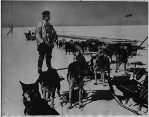 Image: Norman Vaughn, dog driver, with several dog teams of Byrd Expedition