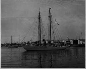 Image of The BOWDOIN after her arrival in Mystic
